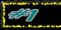 Shady Tree Racing