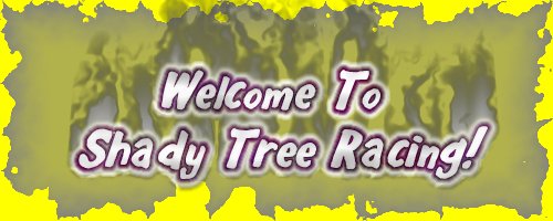 Welcome to Shady Tree Racing!!